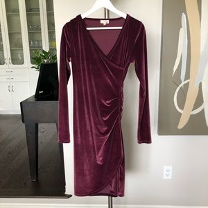 Aritzia Wilfred Free Dress